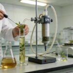 SPE Isolation of Alkaloids from Plant Extracts
