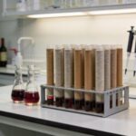 SPE Strategy for Detecting Polyphenols in Wine Samples