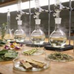 SPE Sample Preparation for Alkaloid Analysis in Plant Materials