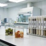 SPE Cleanup for Analyzing Food Additives in Processed Foods