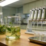 Sample Cleanup of Plant Extracts Using SPE Prior to LC-MS