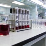 SPE Extraction of Polyphenols from Red Wine Samples