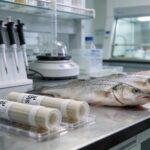 SPE Extraction of Veterinary Antibiotics from Fish Tissue
