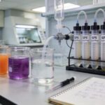 SPE Extraction of Polyphenols from Fruit Juice Samples