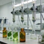 SPE-Based Sample Preparation for Metabolite Profiling in Plants