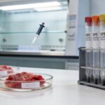 SPE Workflow for Veterinary Drug Monitoring in Meat